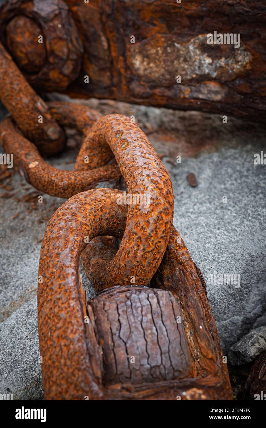Primo piano di un grande anello di catena in metallo arrugginito e consumato con un perno di legno, texture ossidata dettagliata che mostra corrosione, decadimento ed età marittima Foto Stock