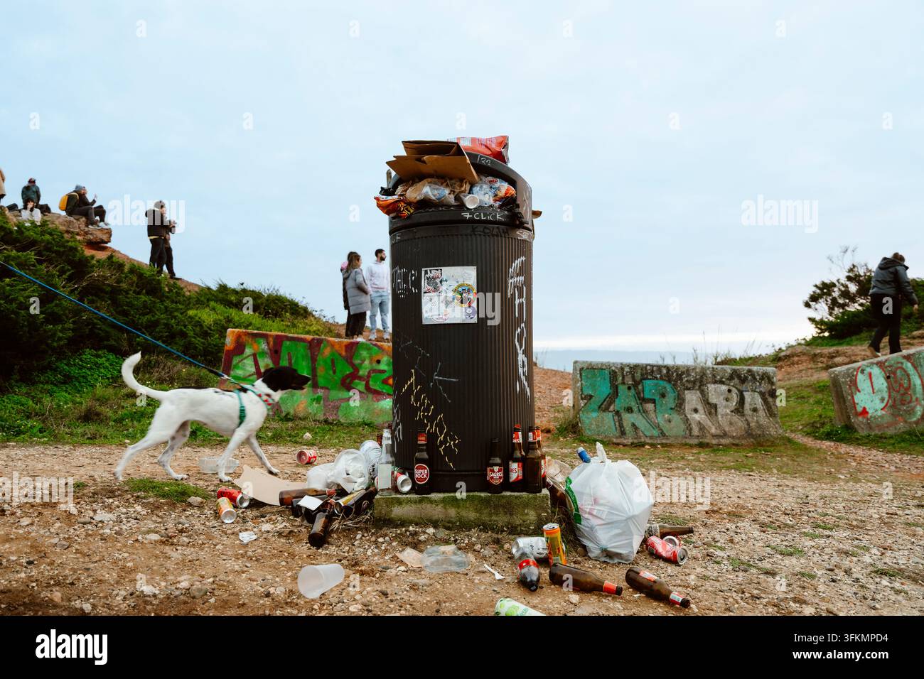 Nazare, Portogallo - 6 dicembre 2025: Il cane vicino a un bidone della spazzatura a Nazare, Portogallo. Foto Stock
