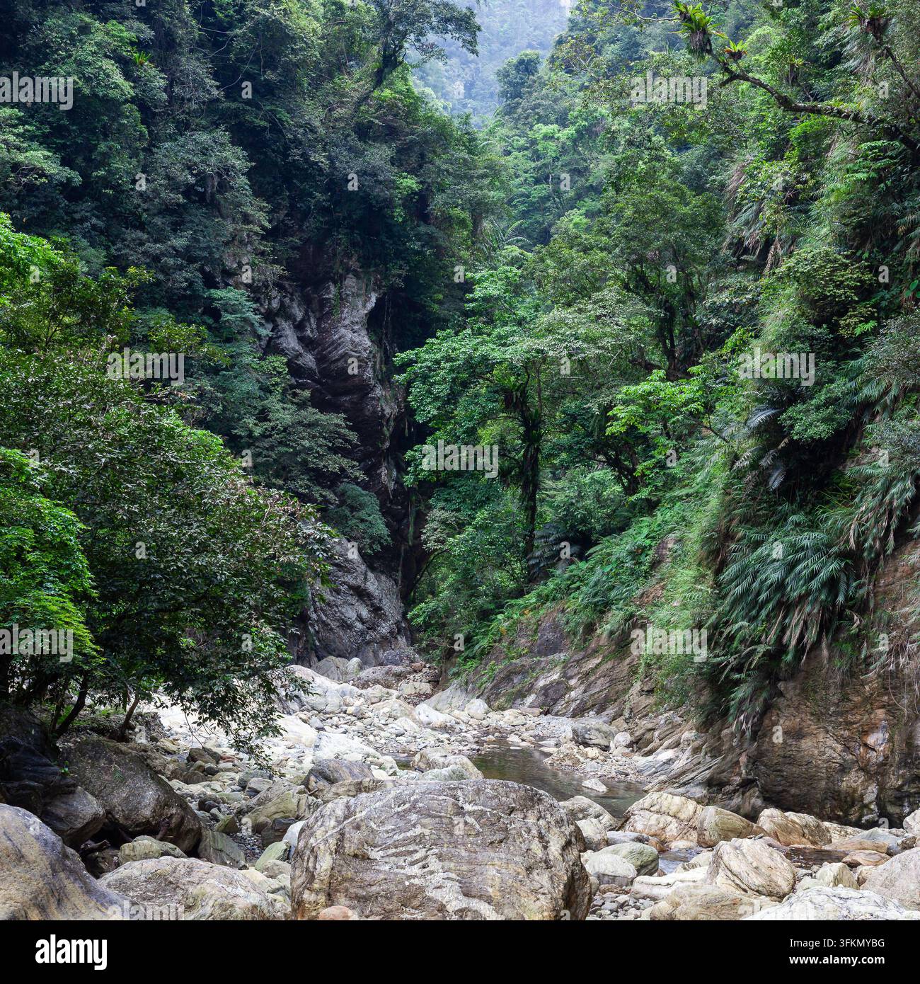 Gorgo di Sanzhanxi nel Parco di Taroko. Una rigogliosa vegetazione tropicale copre le ripide falesie delle montagne. Letto roccioso di un fiume ai piedi di una valle. Foto Stock