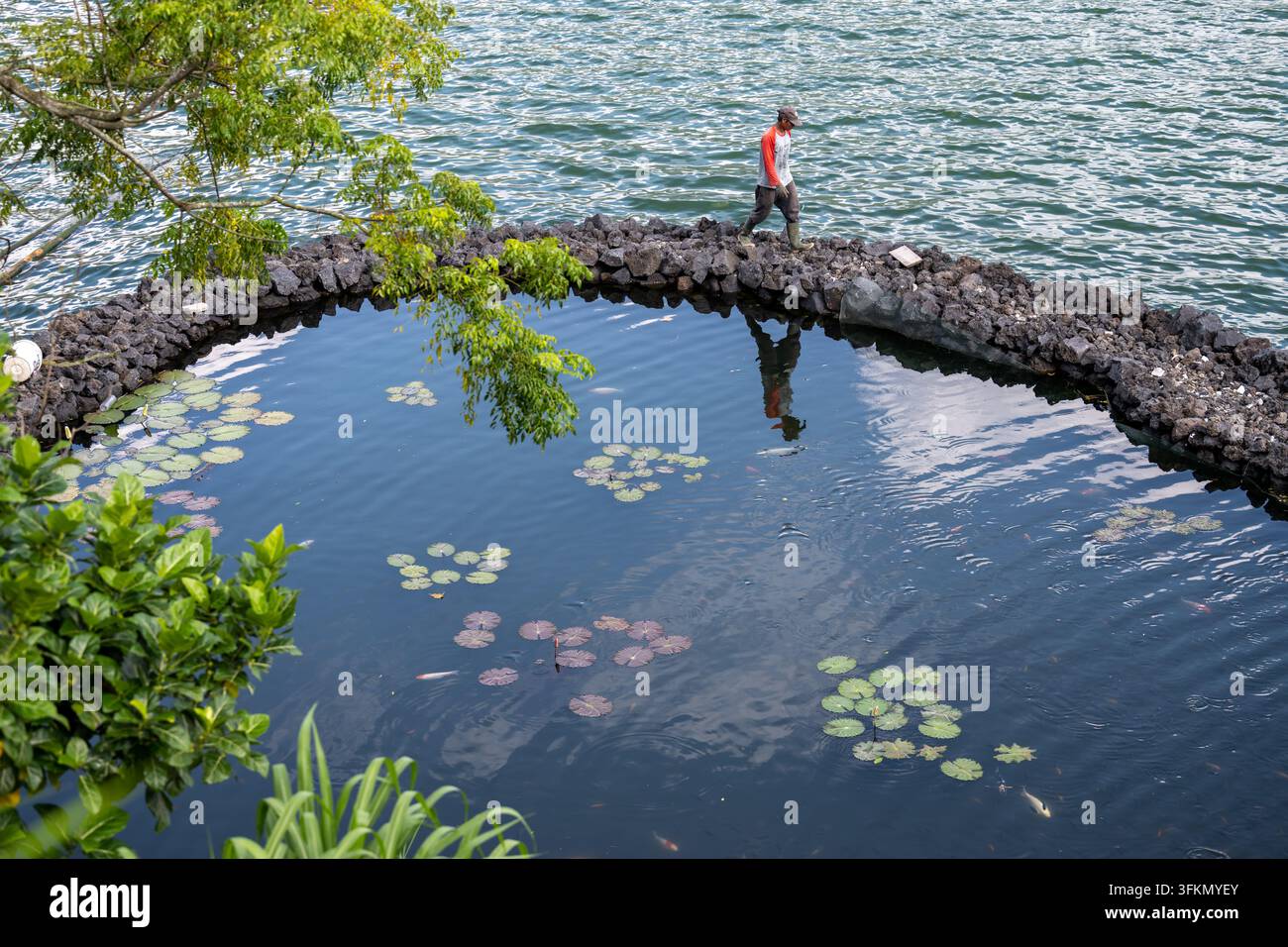 KINTAMANI, INDONESIA — 26 MARZO 2026: Un operaio cammina lungo un recinto di roccia vulcanica che circonda una vasca per pesci accanto al lago Batur. Foto Stock