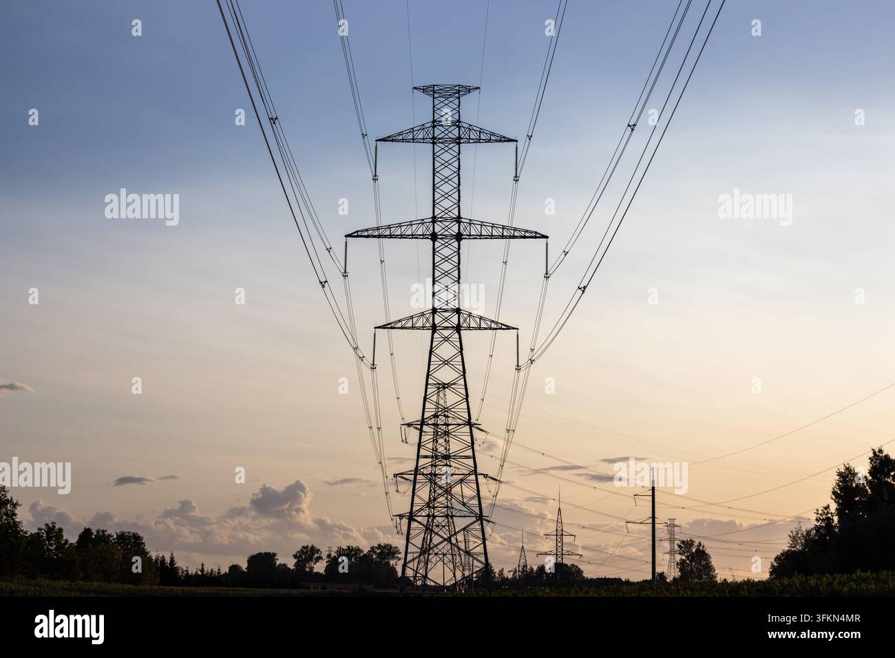 Piloni e cavi di trasmissione elettrica su un paesaggio rurale al crepuscolo Foto Stock