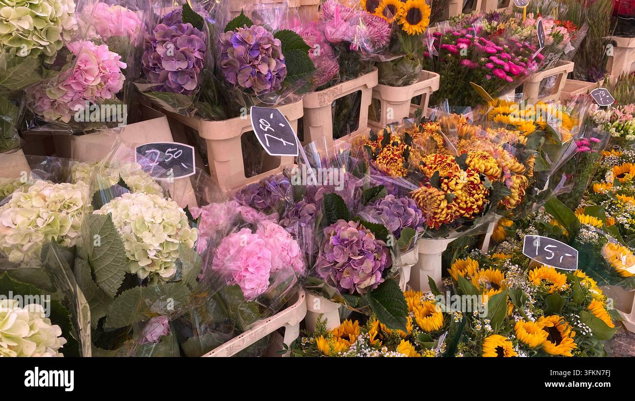 Mazzi colorati di ortensie, girasoli e crisantemi in vendita al mercato dei fiori Foto Stock