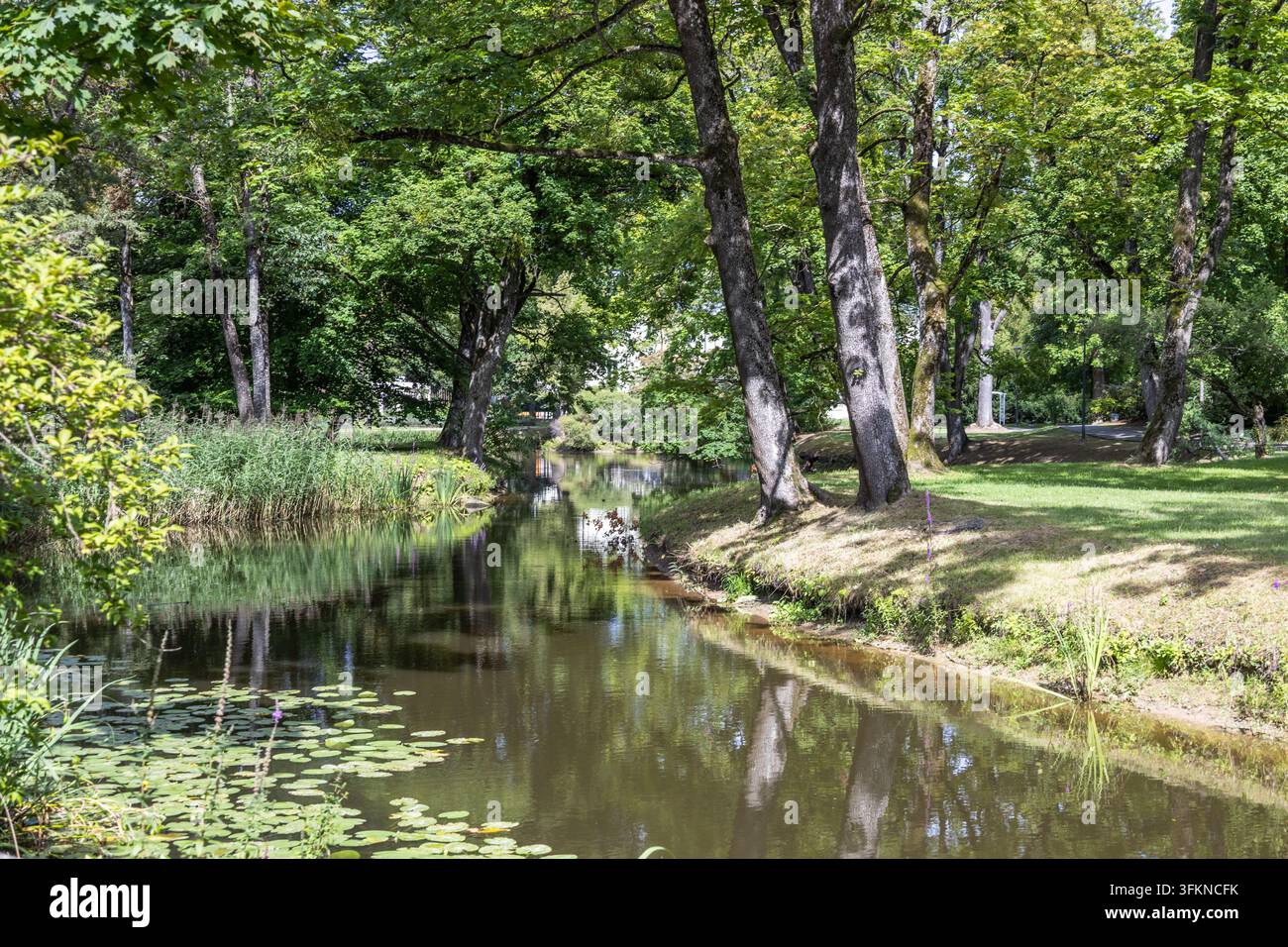 Ruscello scenografico che scorre attraverso un parco pubblico verde Foto Stock