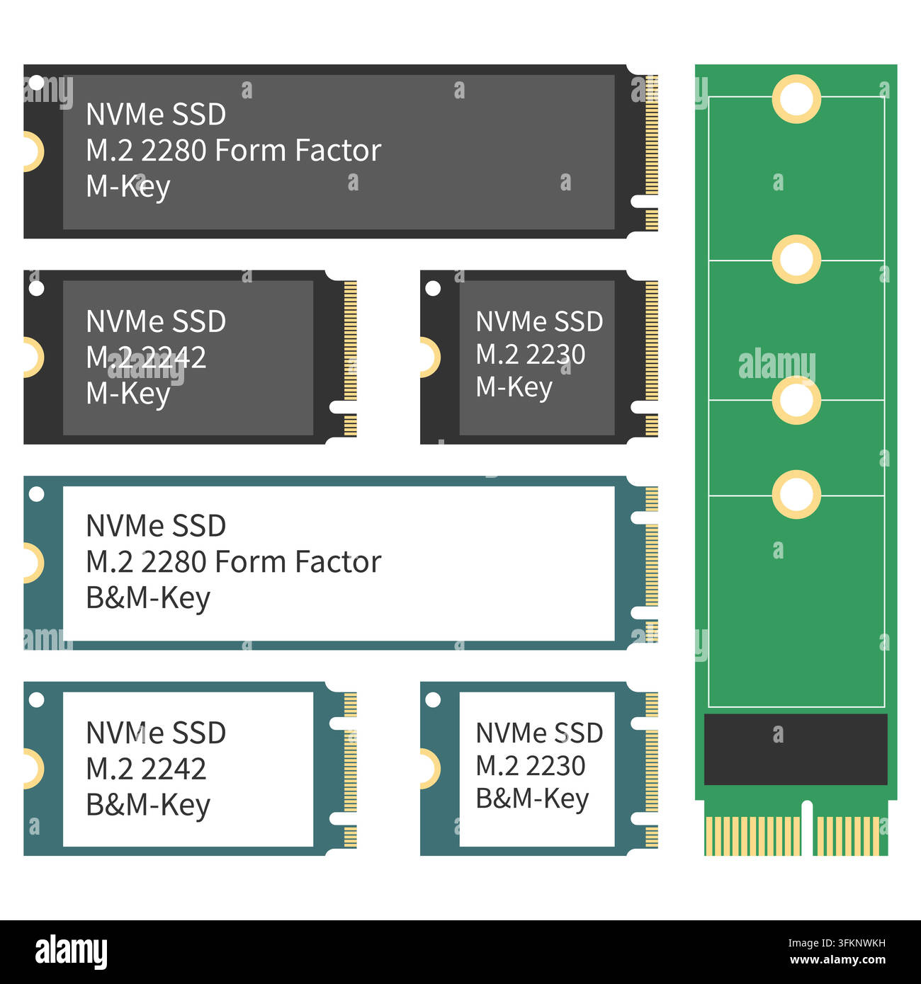 SSD NVMe M.2 generico Set di vari fattori di forma Illustrazione vettoriale piatta Illustrazione Vettoriale