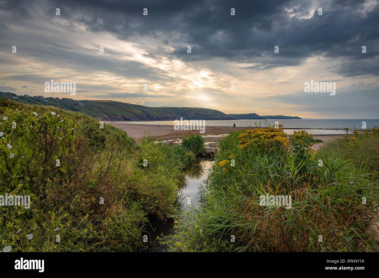 Freshwater East, Galles, Regno Unito Foto Stock