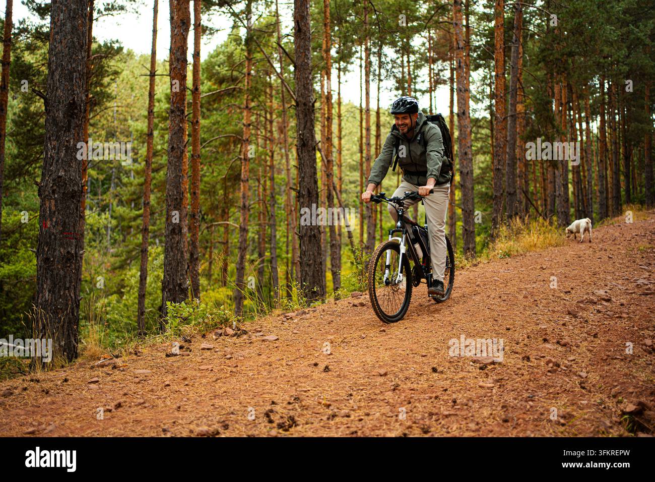 Godendo un'emozionante passeggiata in mountain bike attraverso un sentiero boschivo sereno Foto Stock