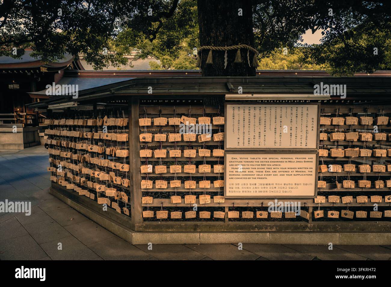 Bella vista dell'Ema, tavolette votive in legno per preghiere personali e gratitudine verso le divinità venerata nel santuario Meiji Jingu a Tokyo, Giappone Foto Stock