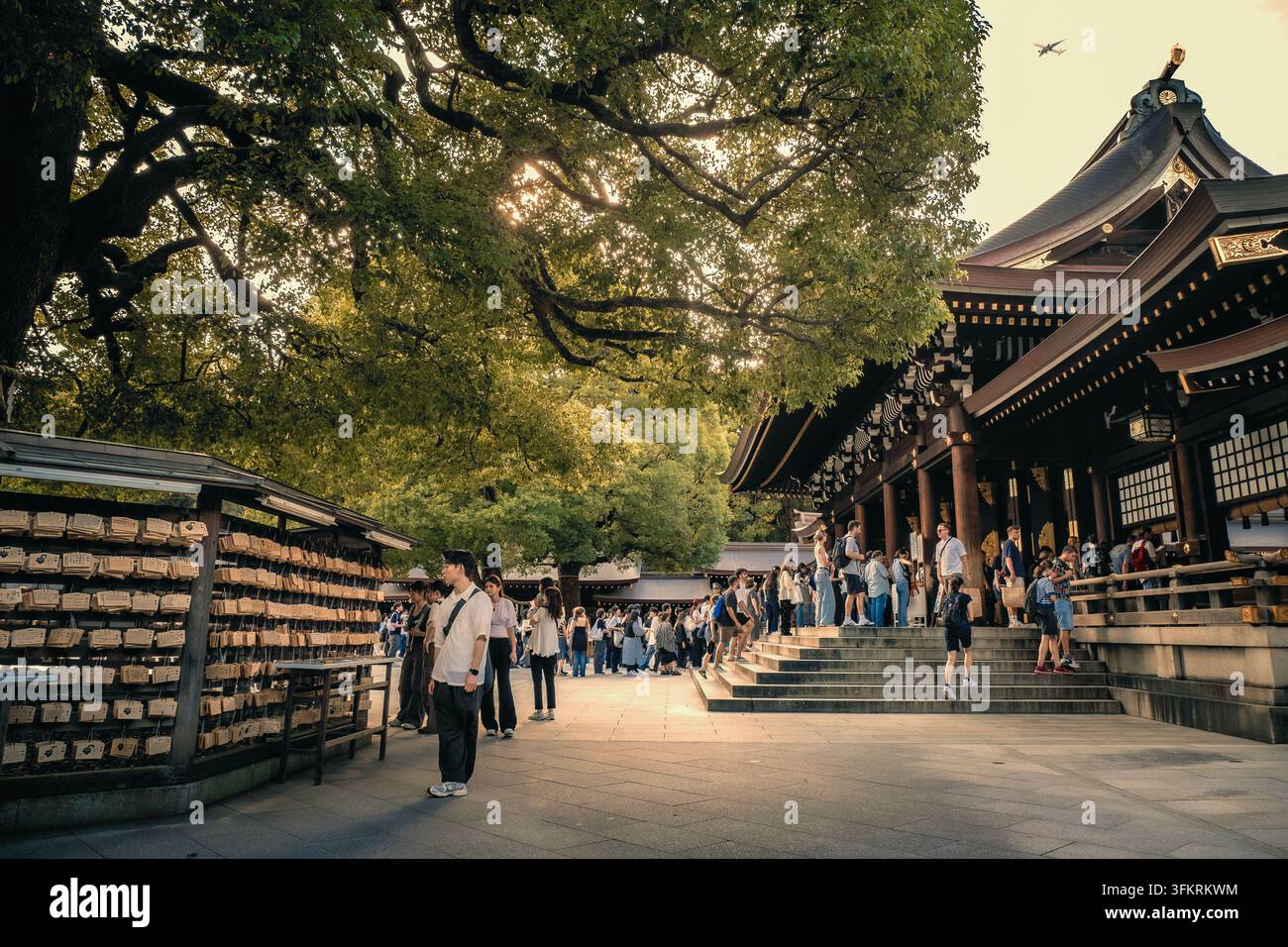 Bella vista di Ema, tavolette votive in legno per preghiere personali accanto all'edificio principale del santuario Meiji Jingu a Tokyo, Giappone Foto Stock