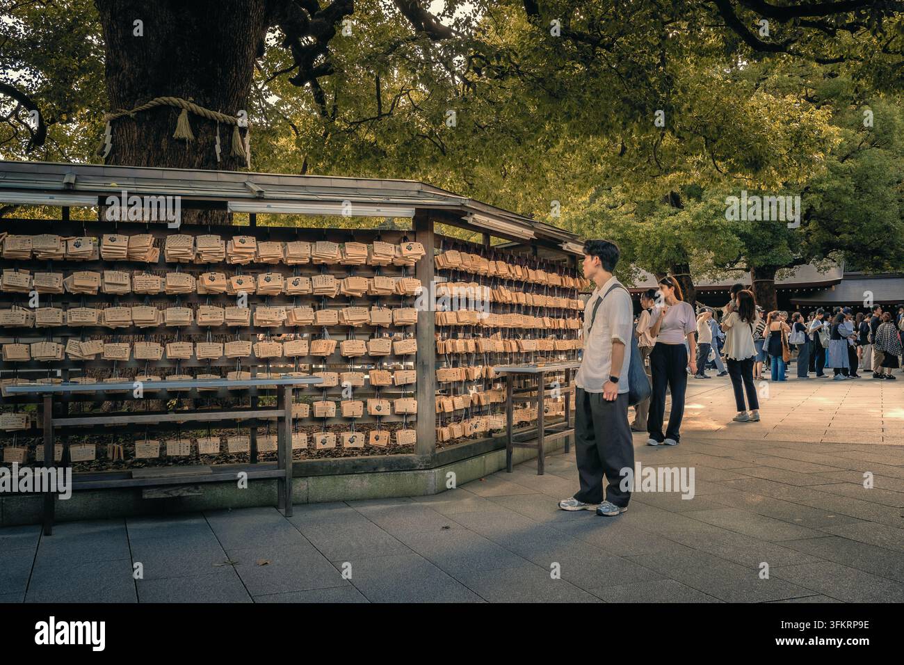 Bella vista dell'Ema, tavolette votive in legno per preghiere personali e gratitudine verso le divinità venerata nel santuario Meiji Jingu a Tokyo, Giappone Foto Stock