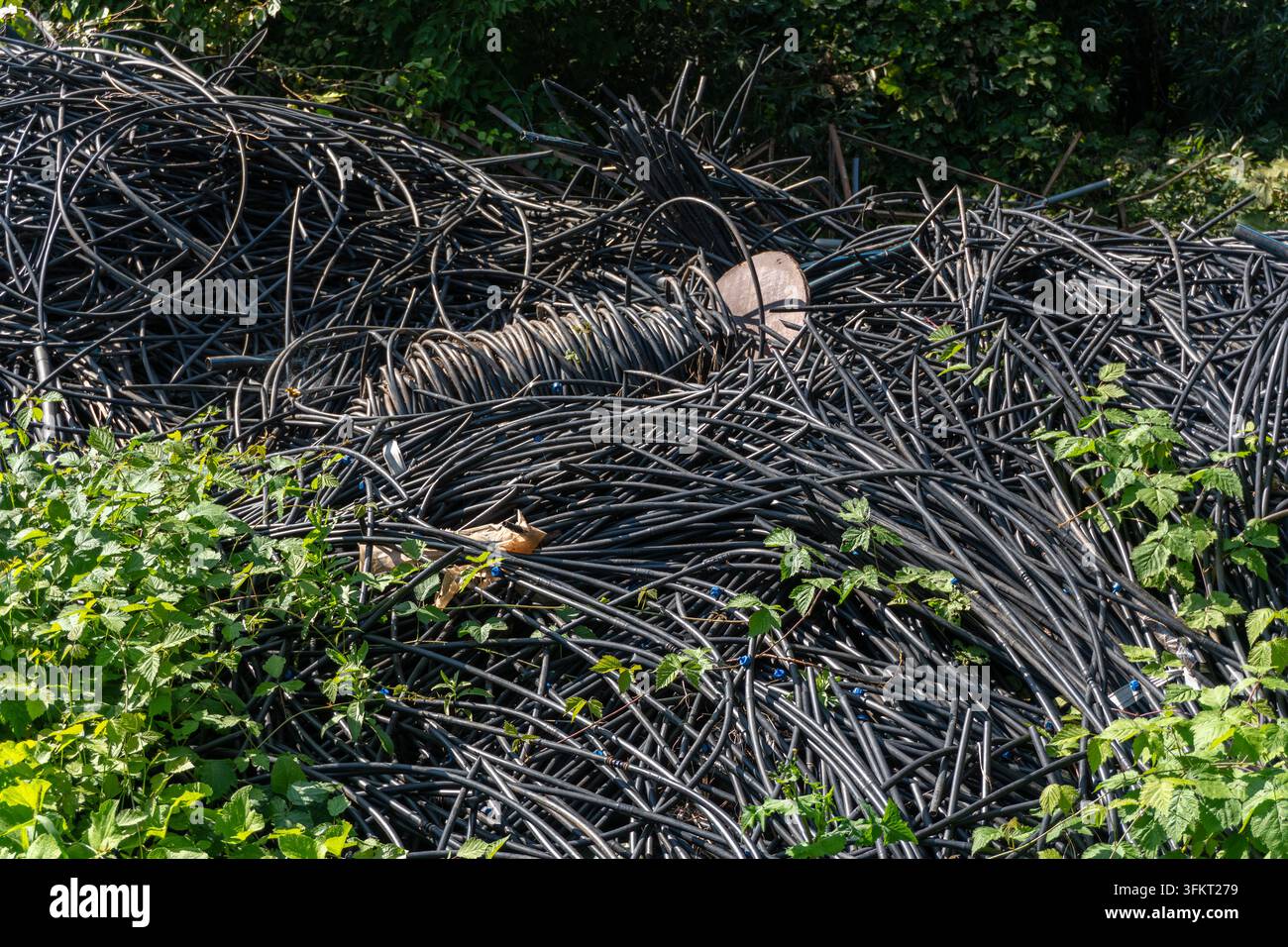 Cumulo di tubi neri per l'irrigazione all'aperto  Foto Stock