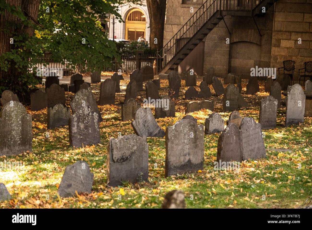 Vista panoramica di un cimitero con lapidi verticali consumate su terreno coperto di foglie sotto grandi alberi autunnali, luce calda del sole e ombre screziate vicino alla pietra Foto Stock