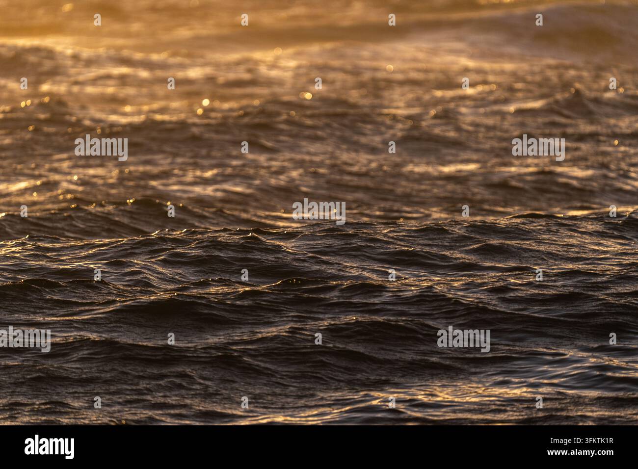 Caldo bagliore dorato del tramonto illumina le onde dell'oceano lungo la costa di Kauai, formando increspature e una leggera schiuma mentre le onde si muovono con calma verso la riva sotto lo sguardo Foto Stock