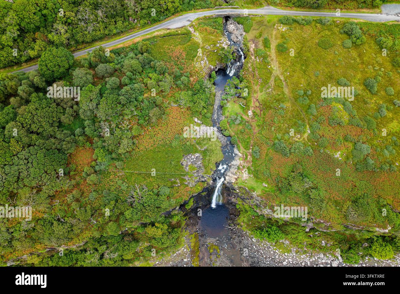 Vista aerea dall'alto di un torrente che scorre su più cascate, tagliando attraverso felci rigogliose, erba e boschi verso la costa sottostante Foto Stock