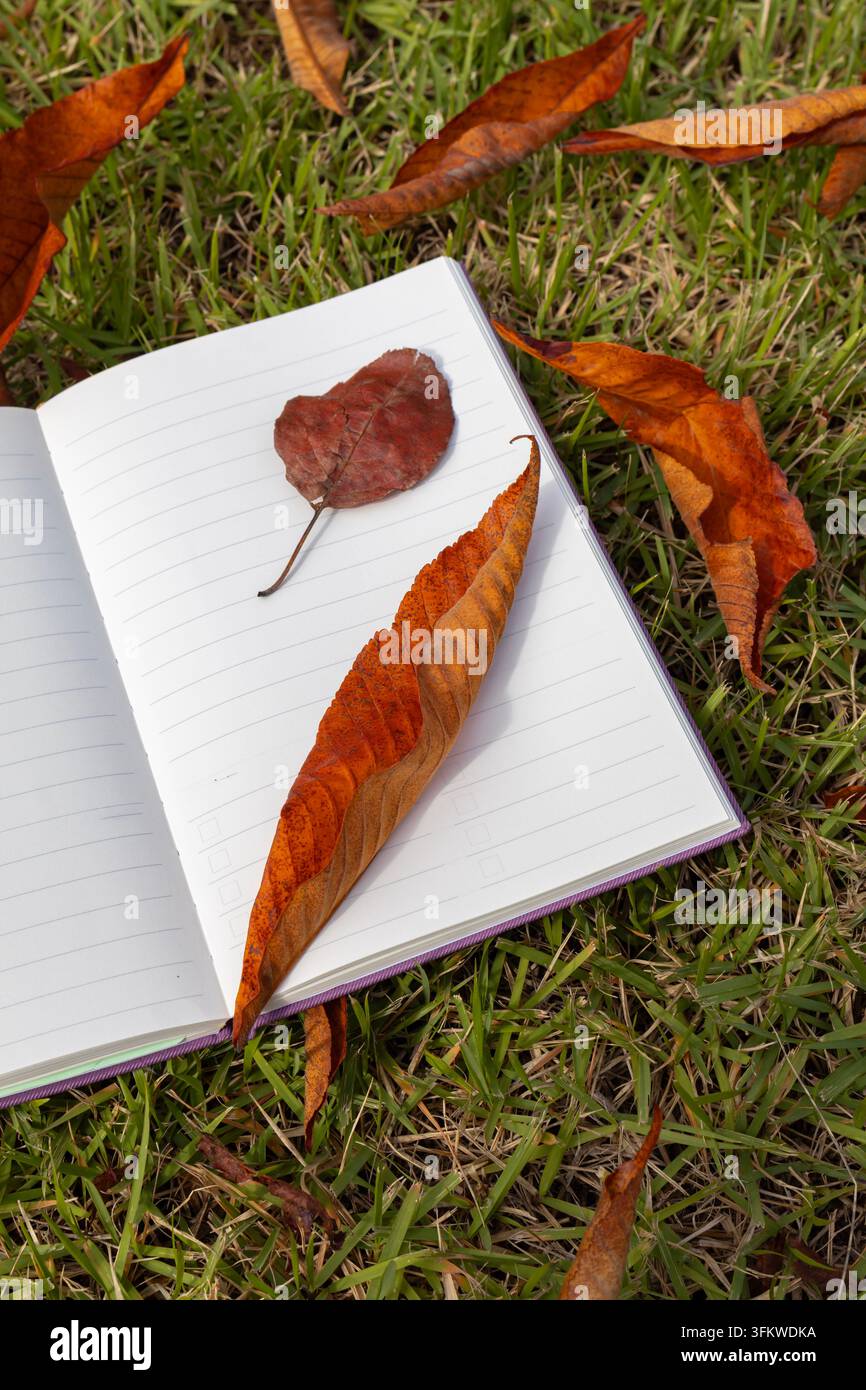 Quaderno aperto e vuoto con foglie secche d'autunno sull'erba Foto Stock