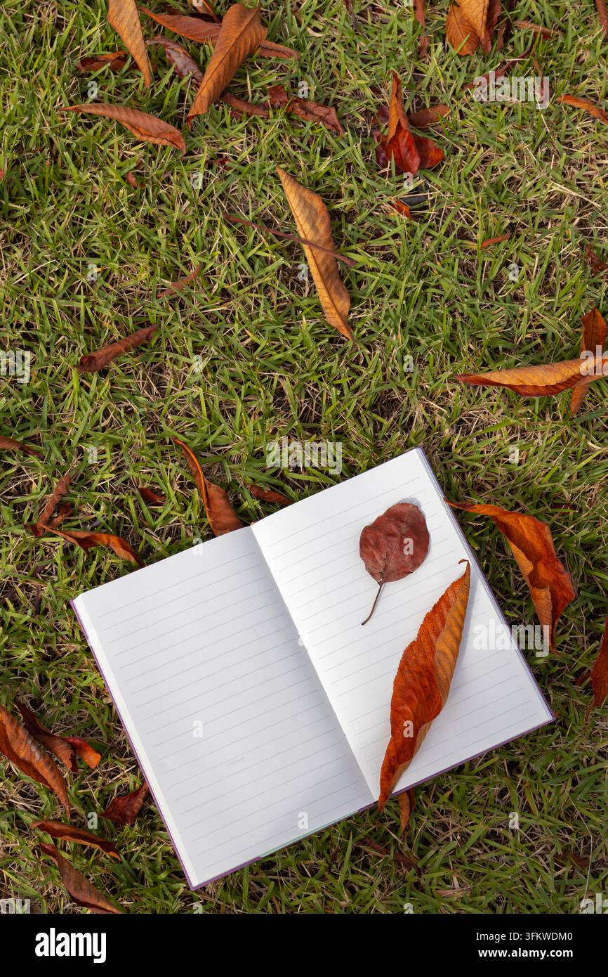 Quaderno aperto e vuoto con foglie secche d'autunno sull'erba Foto Stock