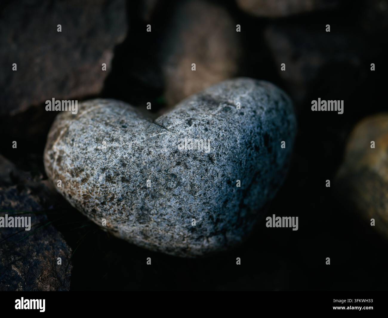 Pietra grigia naturalmente a forma di cuore tra rocce più scure, che crea un semplice simbolo d'amore trovato nella natura. Foto Stock
