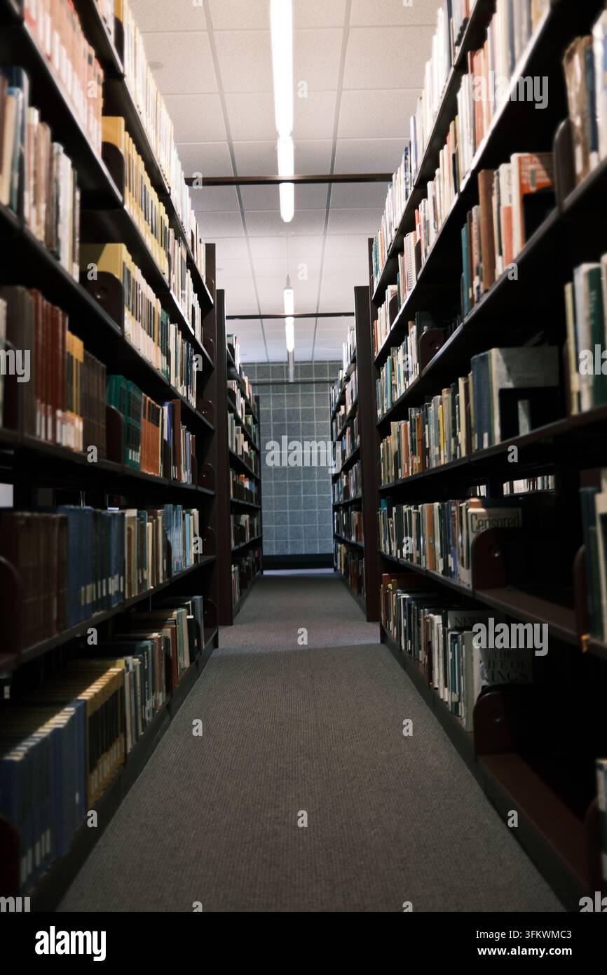 Scaffali della biblioteca visti dal basso in un corridoio illuminato. Le pile si innalzano sopra la testa sotto luci a striscia. Foto Stock