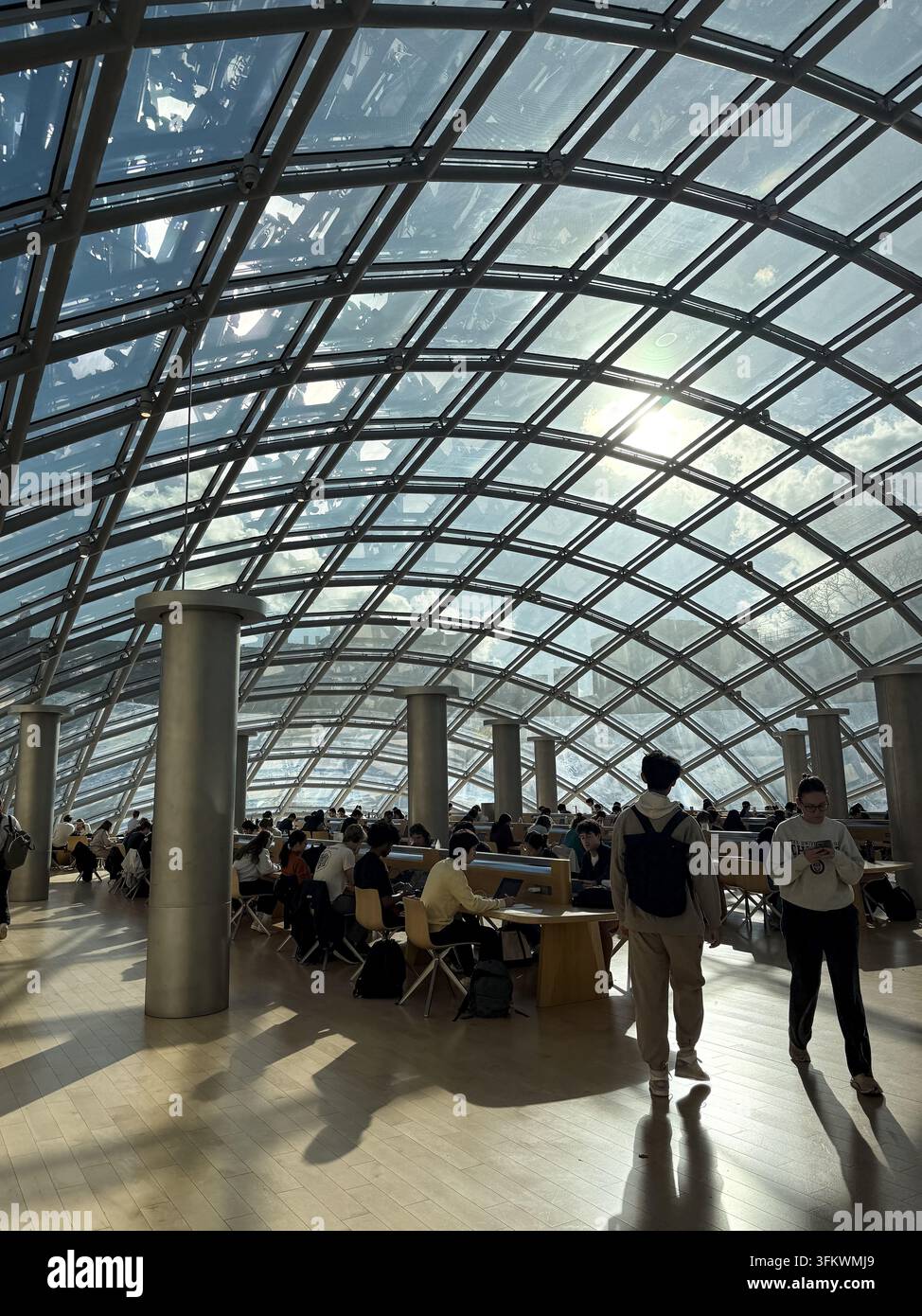 CHICAGO, ILLINOIS - 10 NOVEMBRE 2024: Il sole basso proietta lunghe ombre su un'aula a cupola. Foto Stock