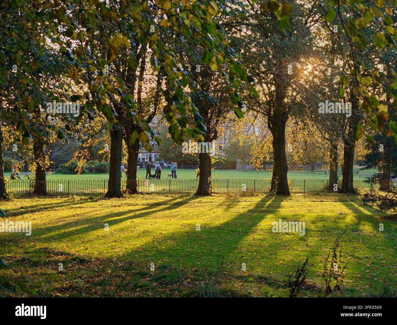 Harrison Park, Shandon, Edimburgo, Scozia: Luce autunnale e ombre degli alberi in questo popolare parco pubblico. - Immagine stock catturata con smartphone