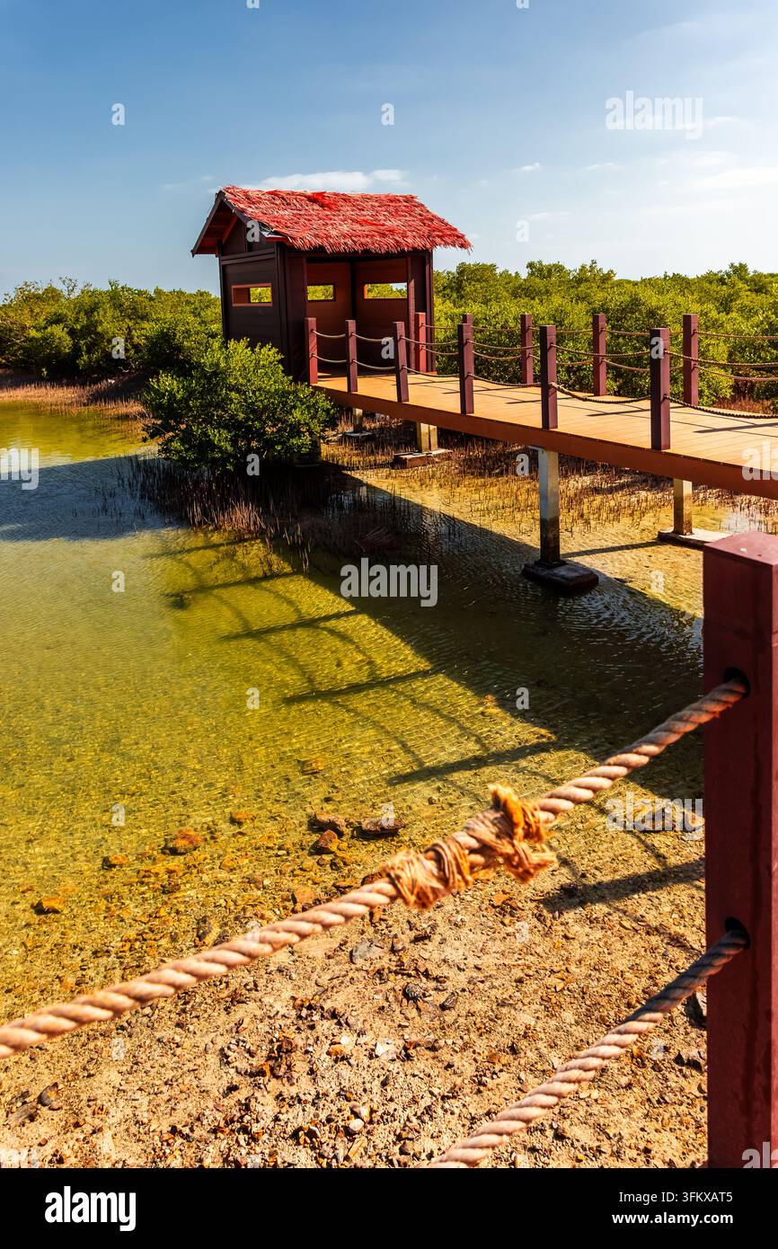 Passerella di legno con ringhiere di corda conduce a una piccola capanna con tetto rosso sopra acque chiare e poco profonde in un paesaggio paludoso verde e soleggiato. Foto Stock