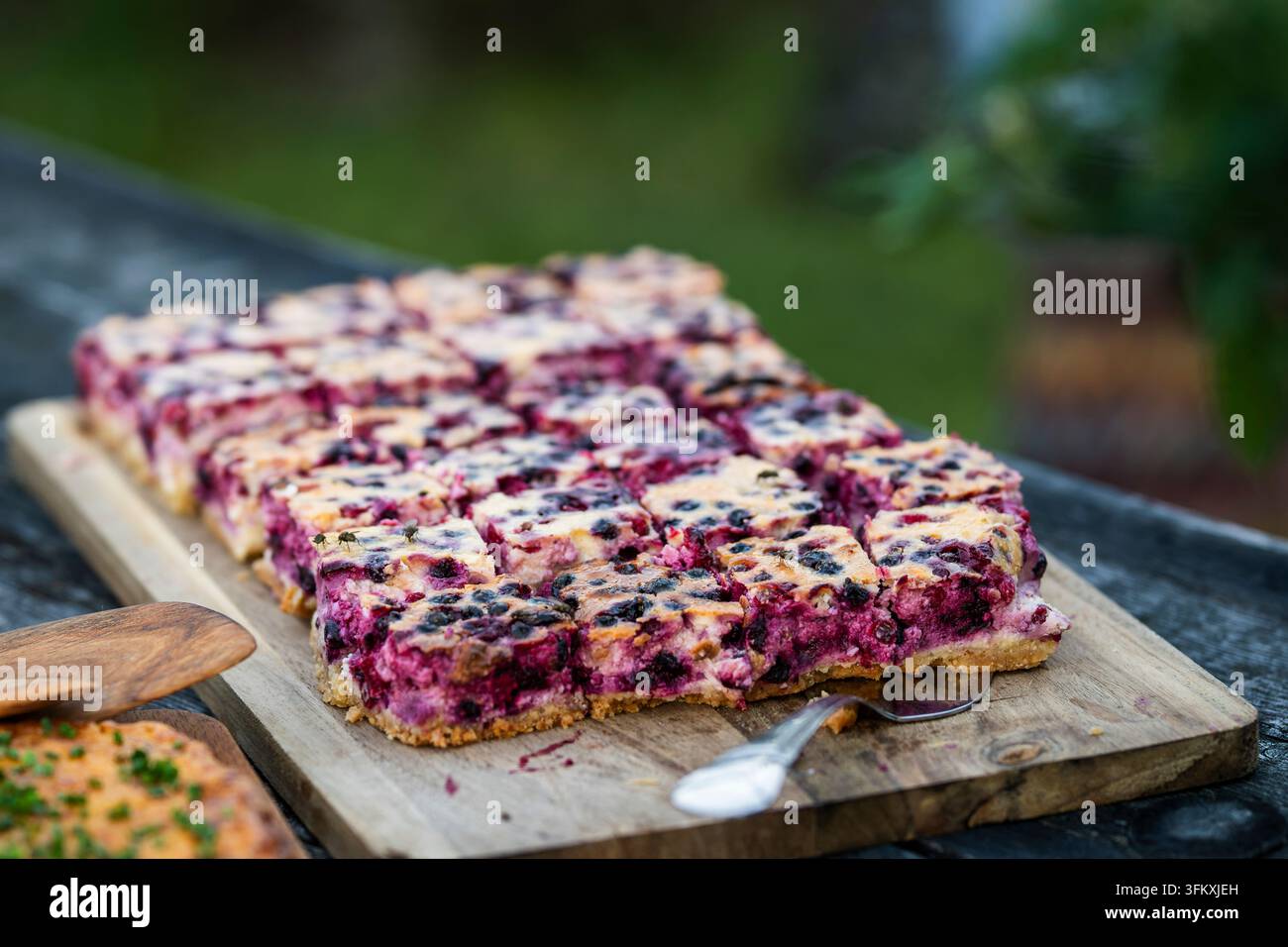 Torta crumble fatta in casa ai mirtilli e frutti di bosco tagliata a quadretti, con una base dorata e burrosa e uno strato generoso di succose bacche scure. Foto Stock