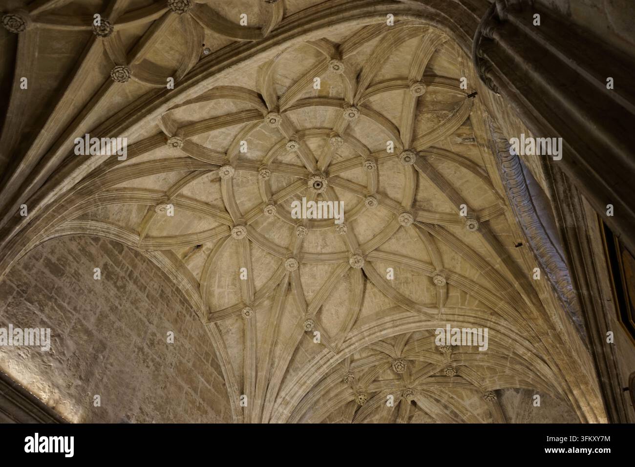 Voli a volta gotica della Cattedrale di Siviglia, Spagna Foto Stock
