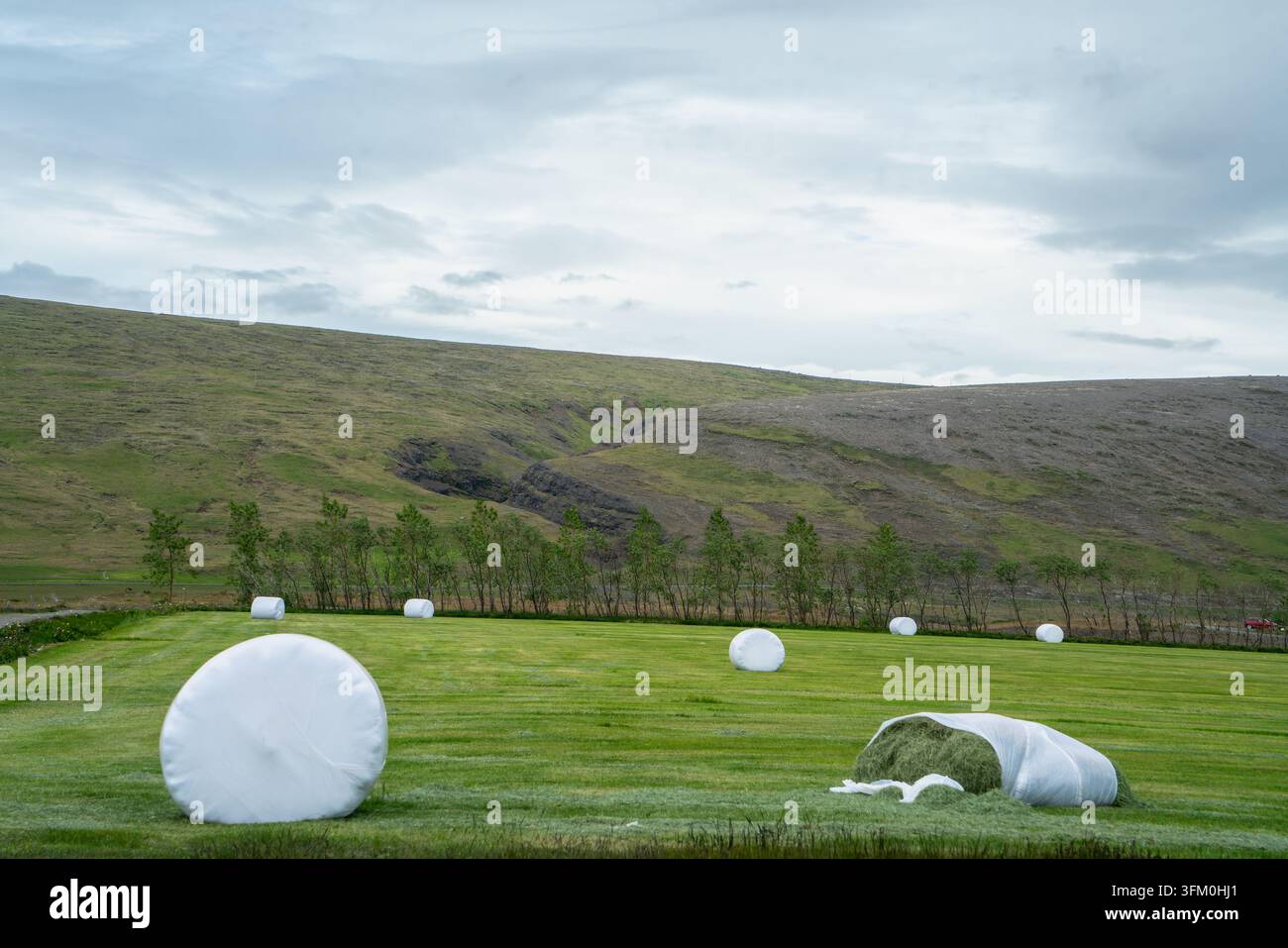 Balle di fieno avvolte in plastica bianca sparse su un campo di erba verde vibrante con colline ondulate e un cielo nuvoloso in Islanda. Foto Stock