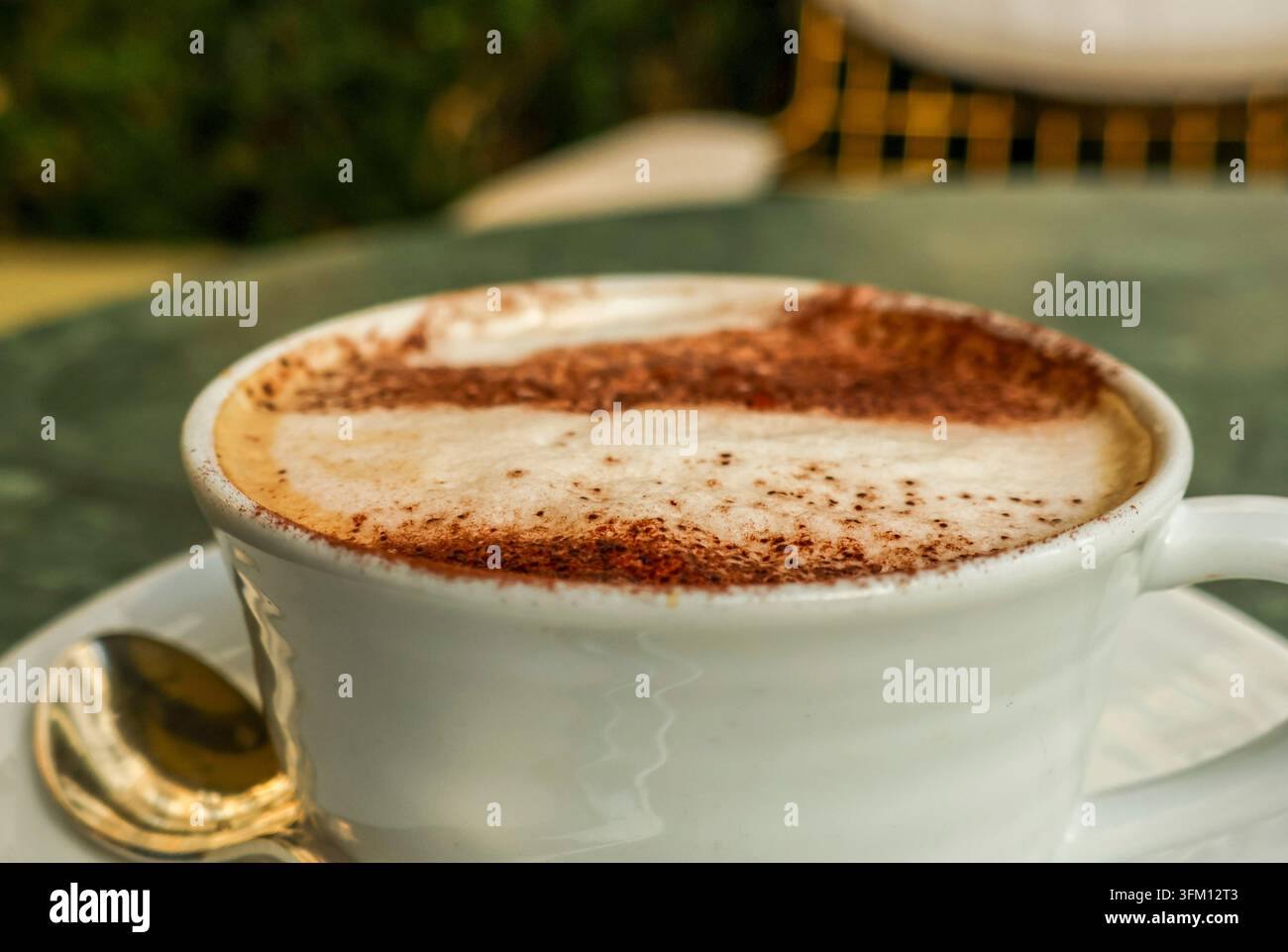 Gusta un cappuccino cremoso con spolveratura di cacao in un caffè all'aperto di Parigi, una deliziosa colazione e un'esperienza di viaggio Foto Stock