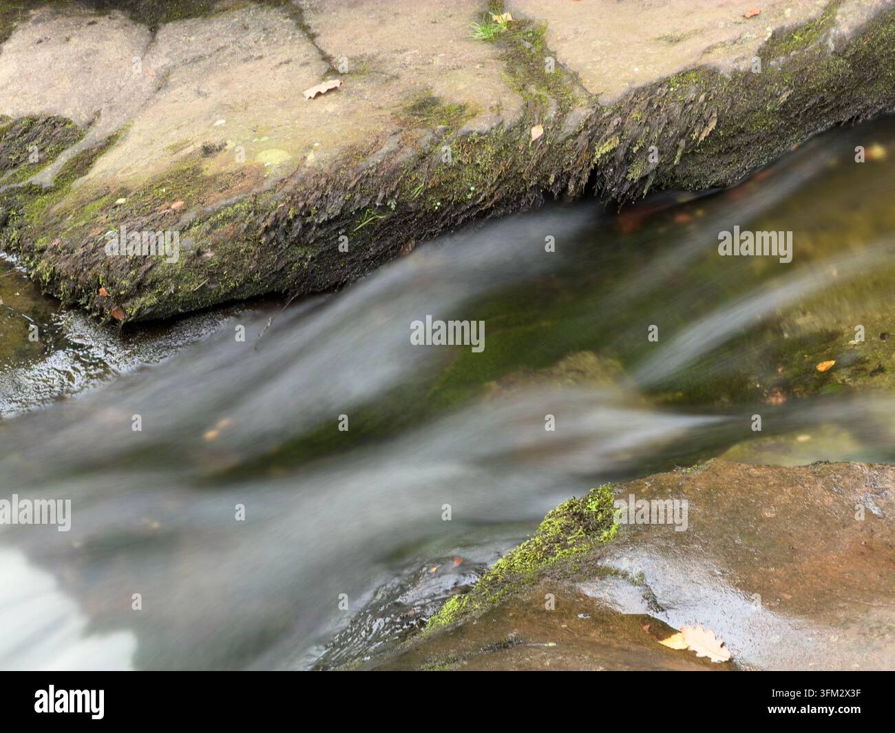 Il fiume Caerfanell che scorre attraverso il bosco di Blaun-y-glyn, Bannau Brycheiniog (Brecon Beacons) - Immagine stock catturata con smartphone
