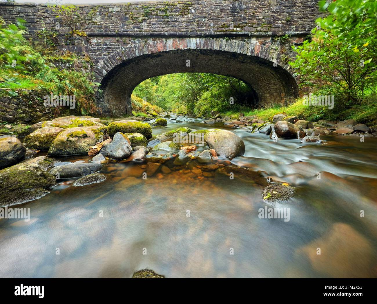 Il fiume Caerfanell che scorre attraverso il bosco di Blaun-y-glyn, Bannau Brycheiniog (Brecon Beacons) - Immagine stock catturata con smartphone