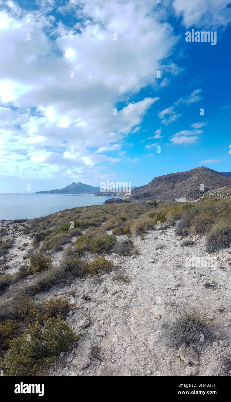 Questa fotografia scenografica cattura una vista mozzafiato di una costa, mostrando colline ondulate coperte da una vegetazione rada che scendono verso il turchese Foto Stock