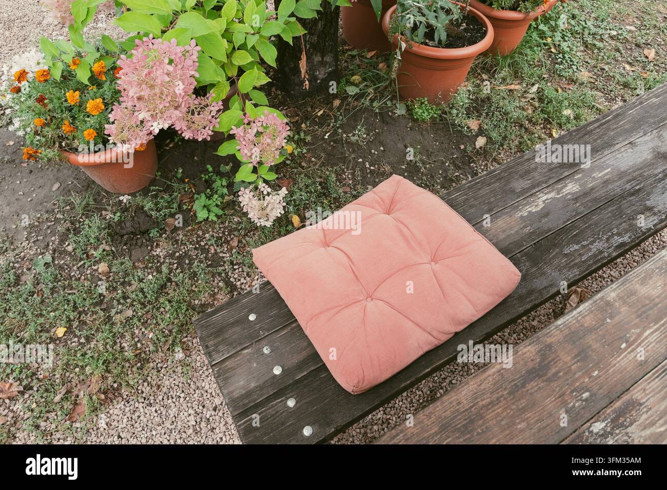 Cuscino morbido rosa su panchina di legno accanto ad ortensia in vaso e calendule - Immagine stock catturata con smartphone