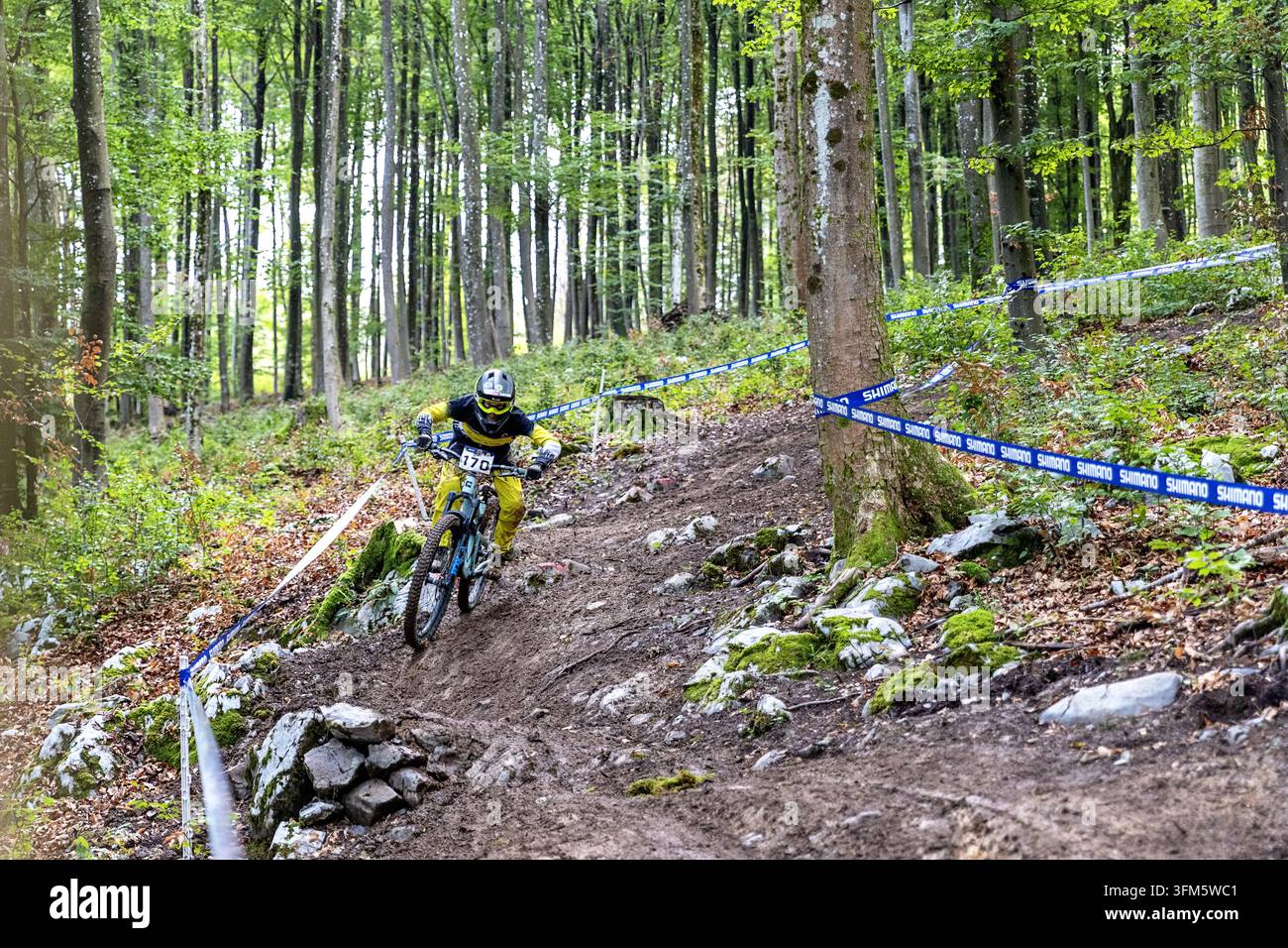 Una foto d'azione di un ciclista di downhill MTB sulla pista di Kocevski Rog verso il traguardo di Soteska. Foto Stock