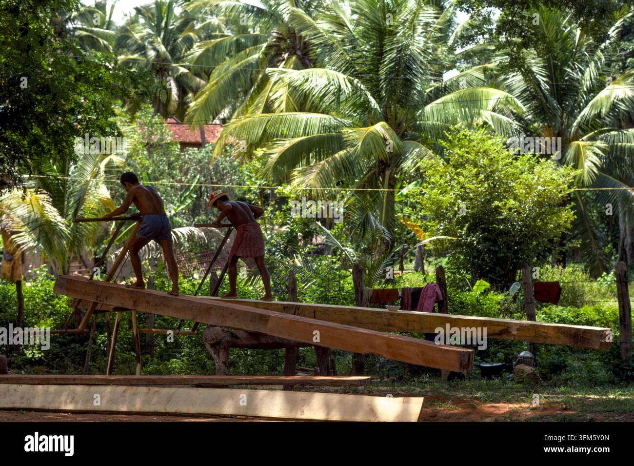 Due falegnami al lavoro che tagliano assi da tronchi d'albero, provincia di Prey Veng, Cambogia, settembre 1988. Foto Stock