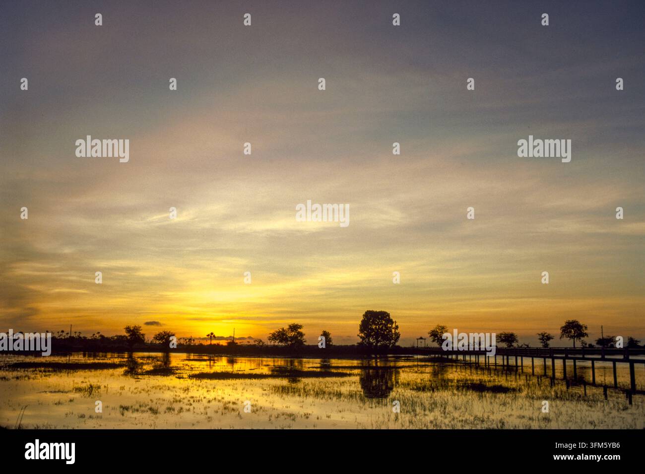 Tramonto sui campi di riso, provincia di Takeo, Cambogia, settembre 1988 Foto Stock