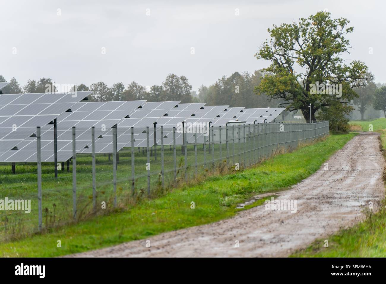 Panelli fotovoltaici montati a terra accanto a una recinzione perimetrale e a un percorso di servizio fangoso, che supportano la generazione di energia elettrica rinnovabile, l'accesso al sito e il solare Foto Stock