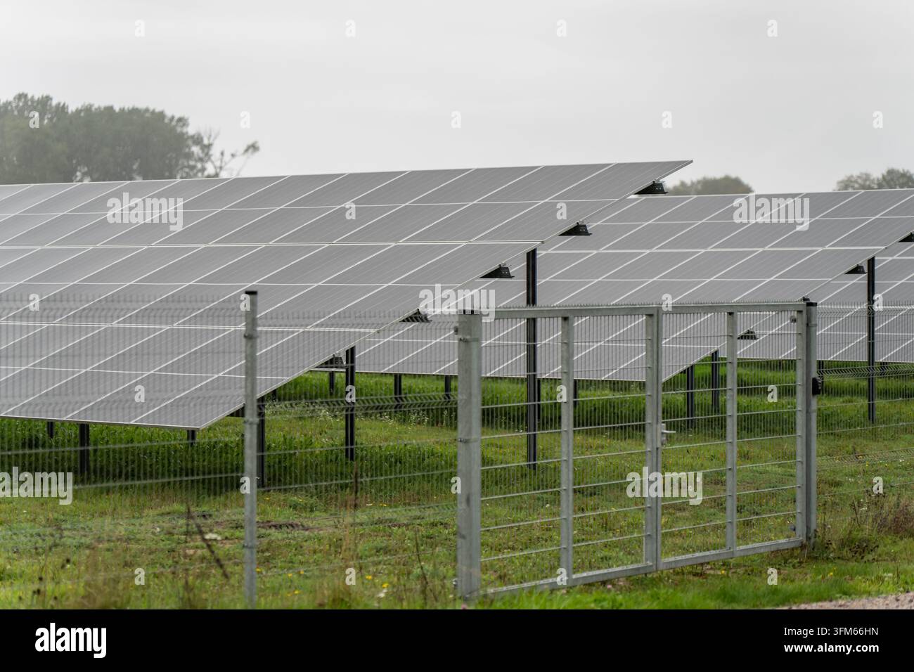 Ampio array di pannelli solari recintato accanto a una pista di servizio fangosa e un albero maturo, che supporta operazioni di energia rinnovabile su scala industriale, accesso al sito e come Foto Stock