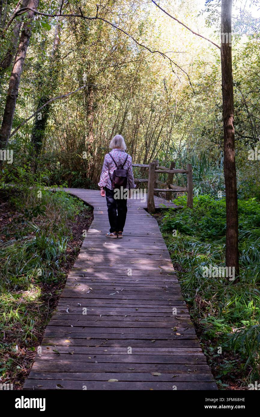 Passeggiatore su una passerella attraverso una foresta sul lago Foto Stock