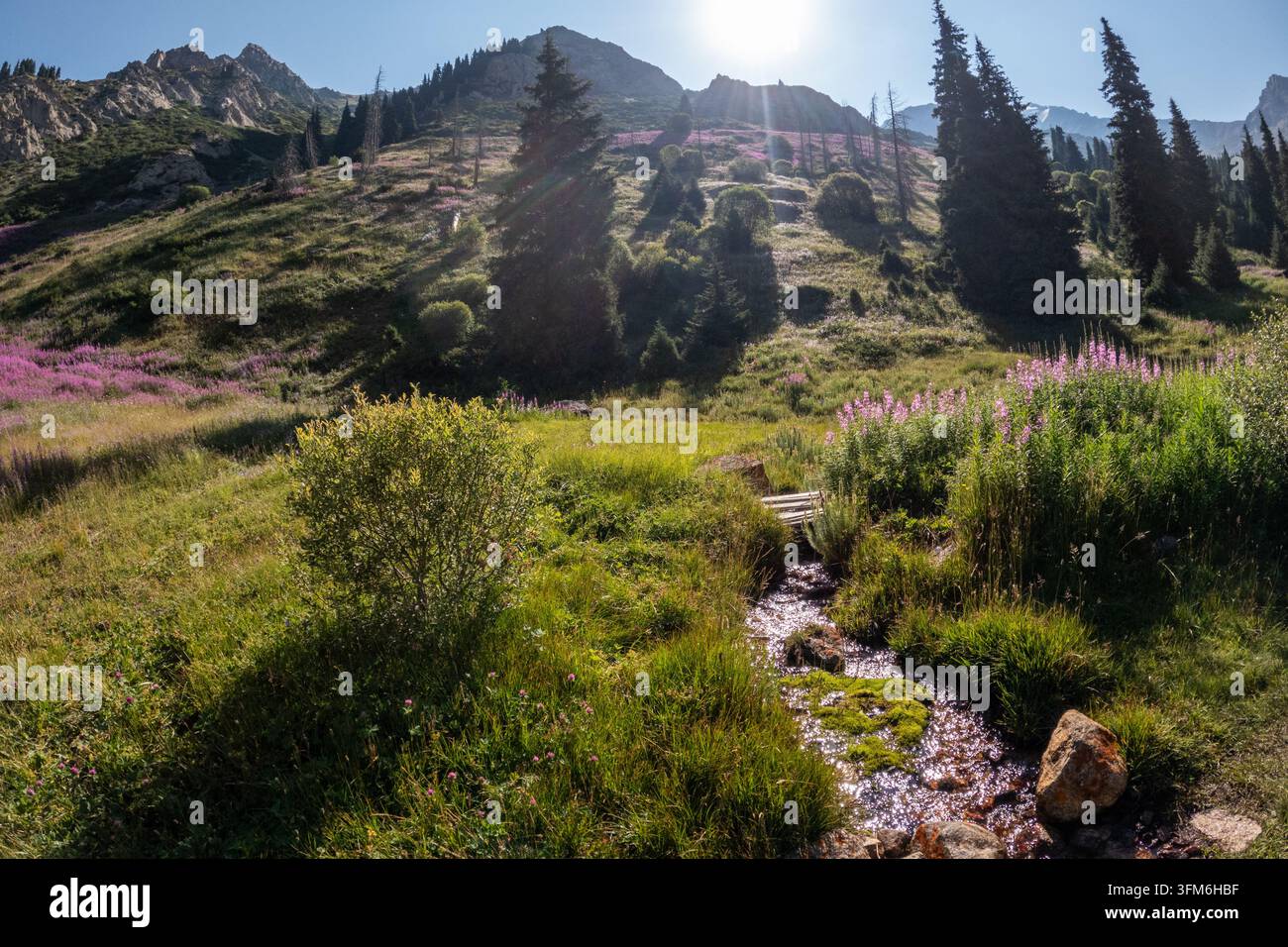 Ruscello di montagna nel Trans-Ili Alatau Foto Stock