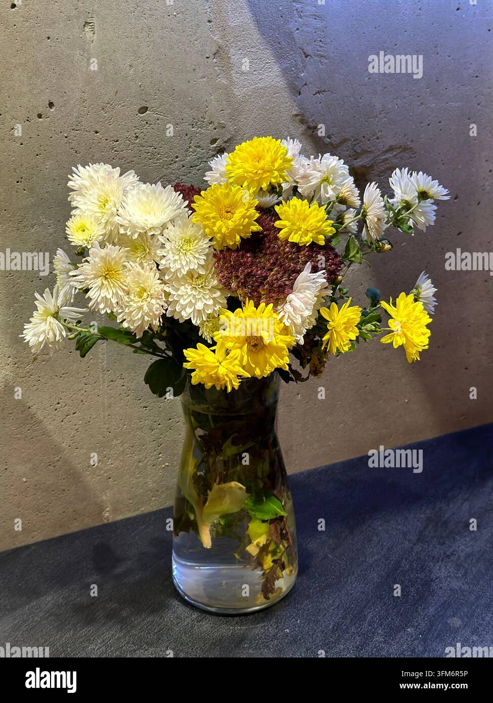 Chrysantemi gialli e bianchi sono disposti in un vaso di vetro contro un muro di cemento ruvido. - Immagine stock catturata con smartphone