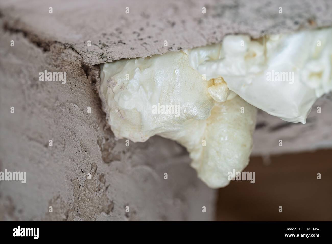 Primo piano mostra la schiuma di poliuretano in espansione che indurisce nel vuoto sotto il bordo del piano di lavoro su cemento grezzo, formando una texture gialla-bianca porosa per il fai-da-te! Foto Stock