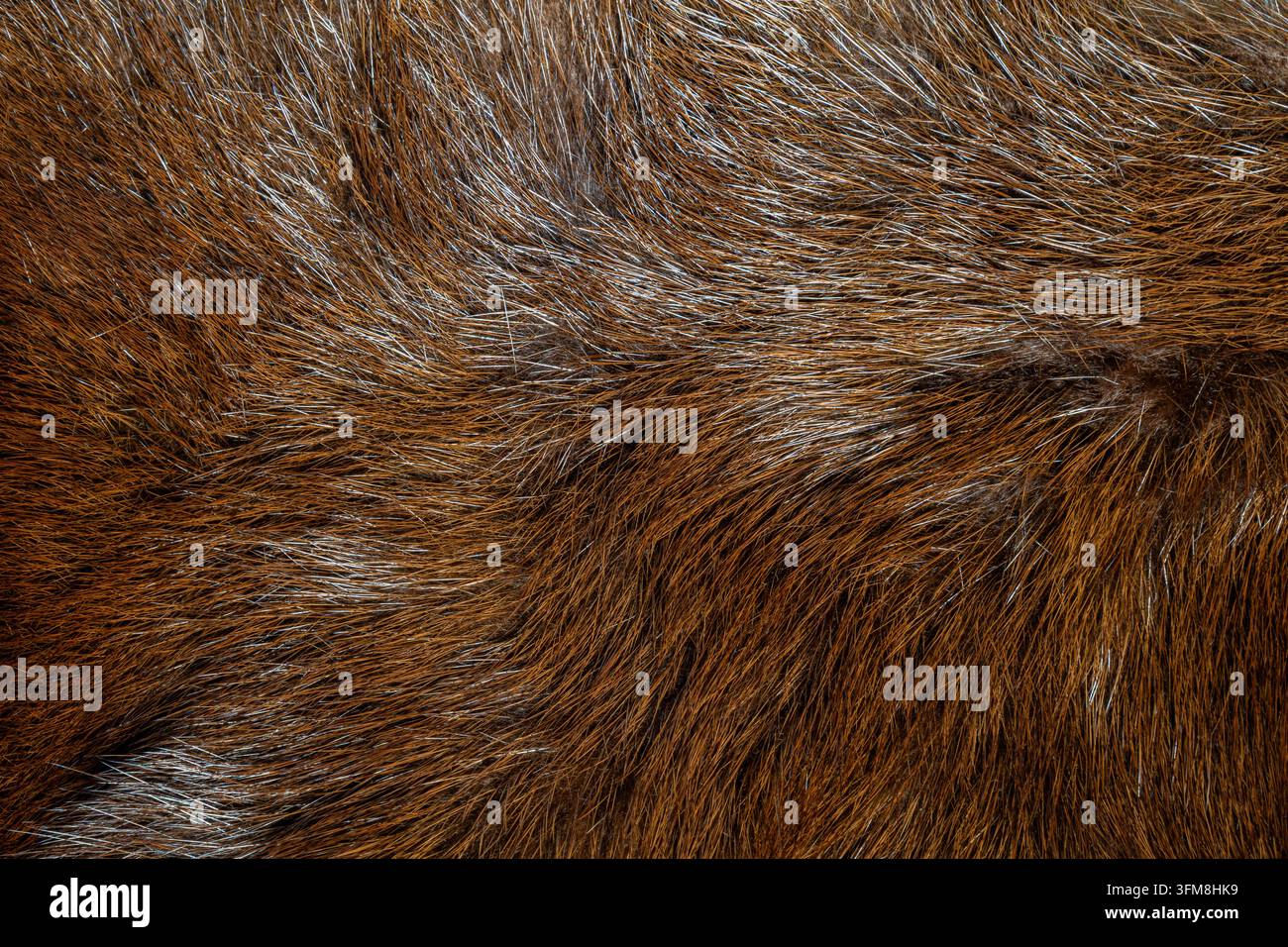 Texture densa e ruvida di pelliccia animale con ciocche marroni, grigie e rossastre Foto Stock