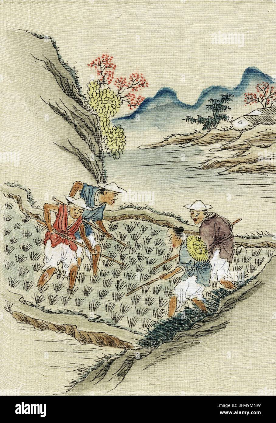 Un dipinto su seta che raffigura lavoratori agricoli che coltivano riso in un campo di risaia. Realizzato durante la dinastia Qing (1644–1912), questa scena riflette il ruolo fondamentale della produzione di riso nell'economia agraria cinese e la sua rappresentazione nei dipinti di genere tradizionali. I lavoratori sono mostrati mentre utilizzano attrezzi a manico lungo per curare le colture in un paesaggio con montagne lontane e fiori. c.1850. Foto Stock
