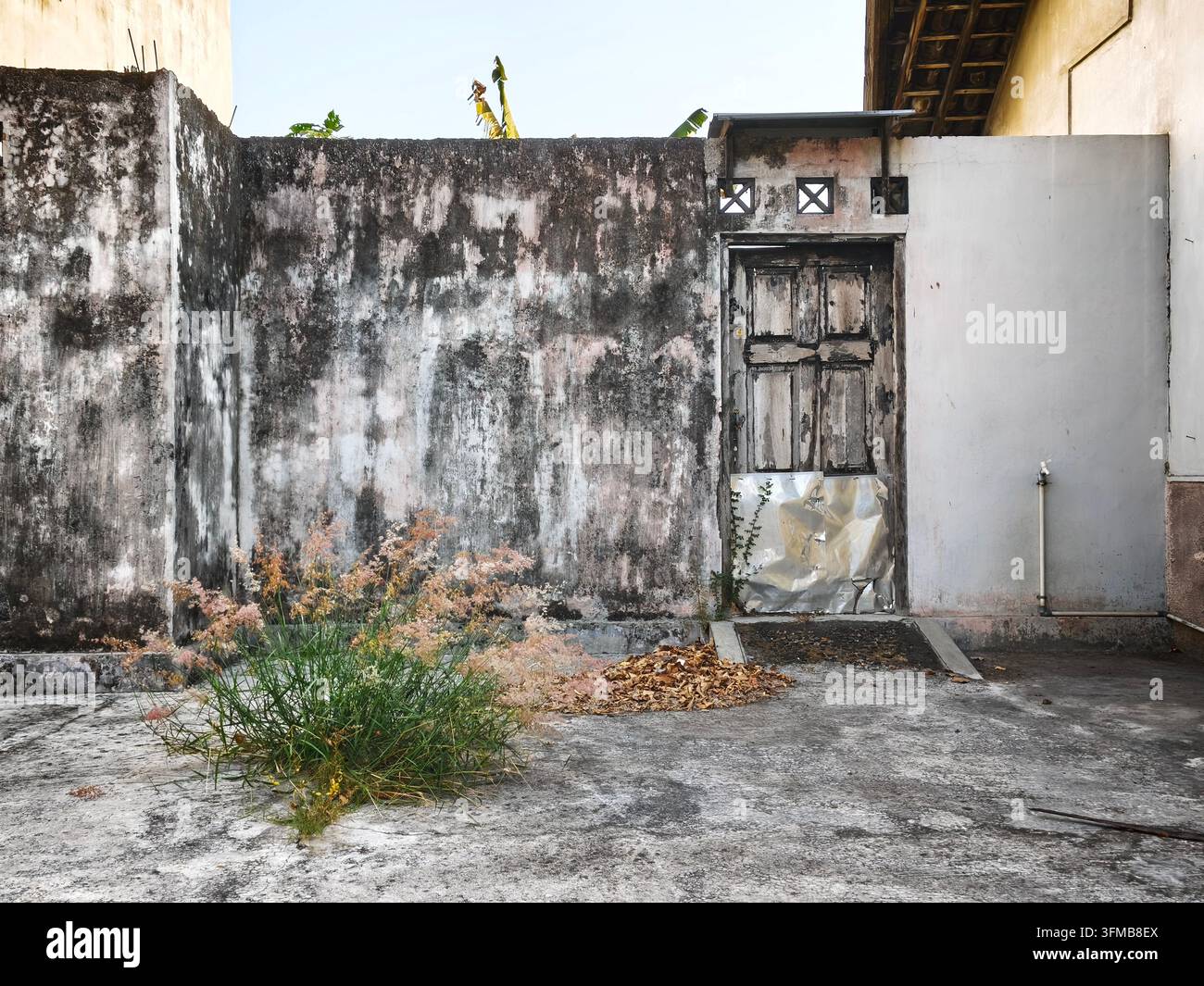 Muro eroso con una vecchia porta di legno e piante ricresciute in un ambiente abbandonato Foto Stock