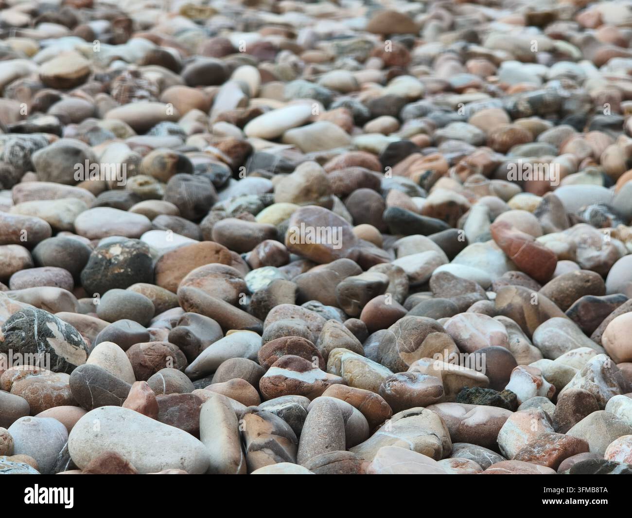 Varietà di pietre lisce e ciottoli sparsi su una spiaggia, che mostrano toni terrosi e texture Foto Stock