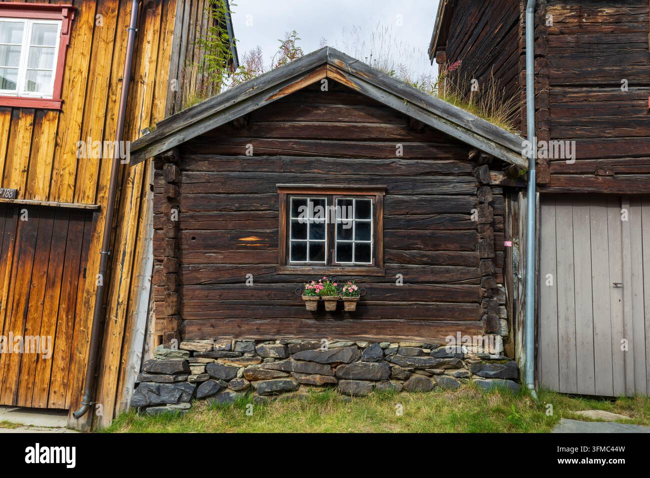 Architettura in legno tradizionale con muro di tronchi rustico e finestra in Norvegia Foto Stock