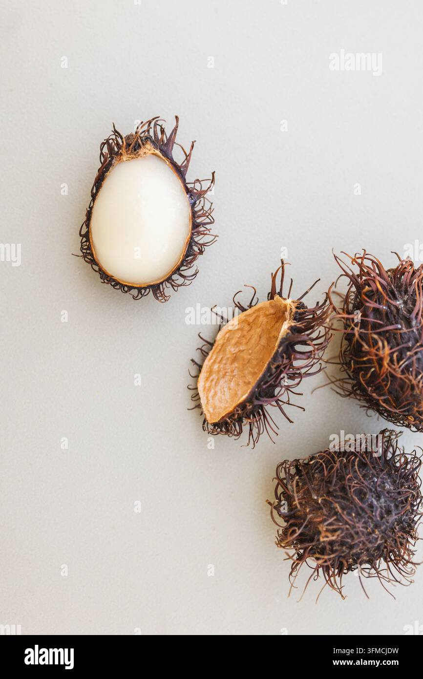 Frutti esotici di rambutan essiccati su sfondo neutro Foto Stock