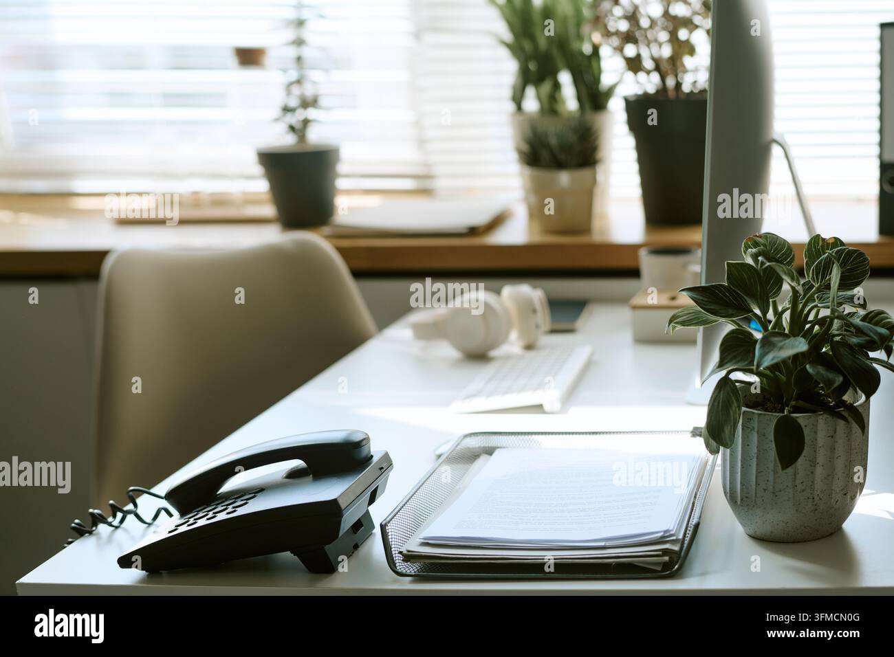 Posto di lavoro moderno in ufficio con scrivania per computer e piante Foto Stock