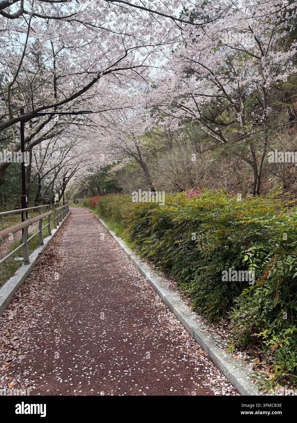 Area di gioco colorata per bambini con design a mulino a vento e ruota idraulica in un parco pubblico, Corea del Sud. - Immagine stock catturata con smartphone
