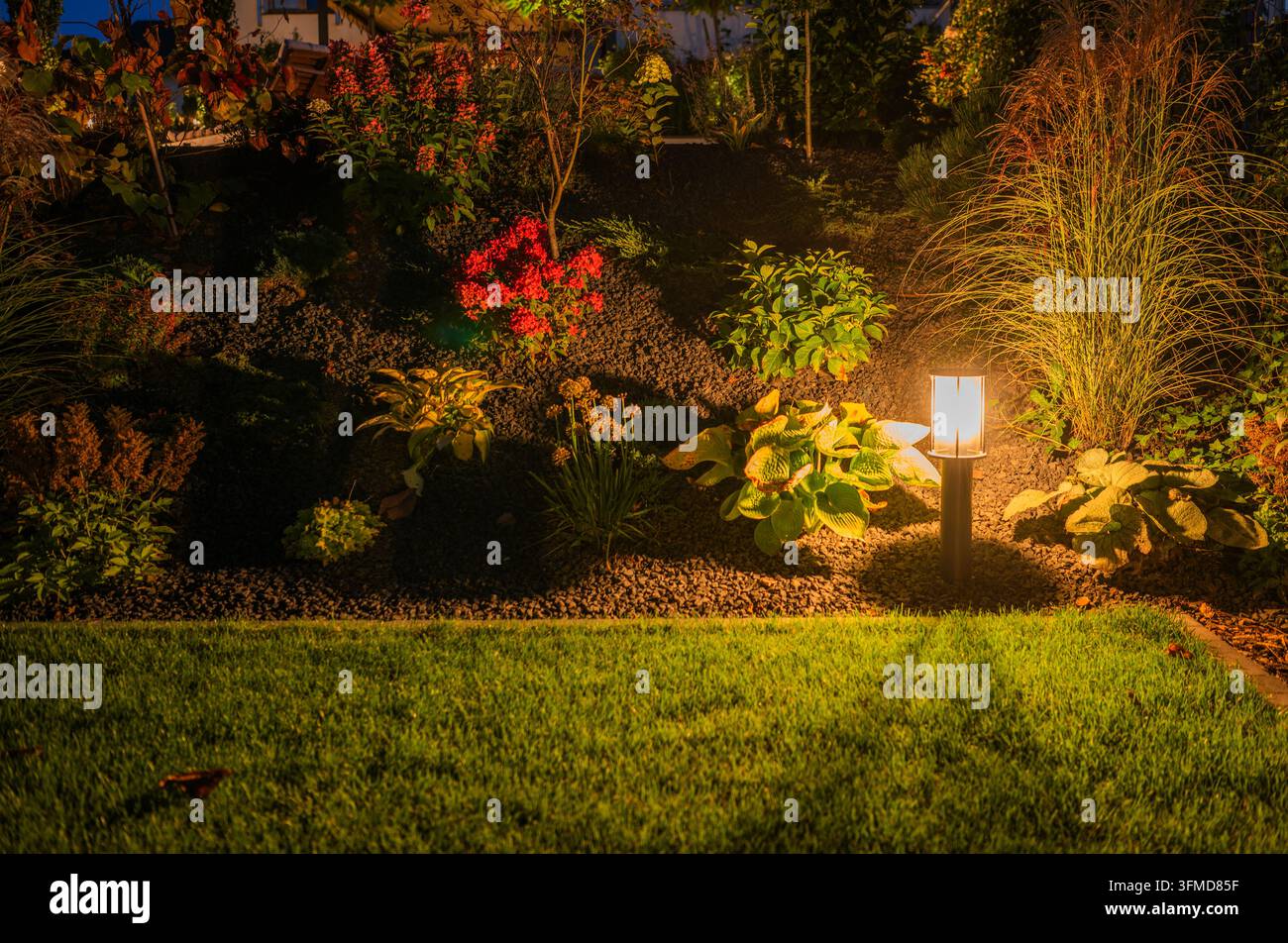 Una luce da giardino illumina graminacee ornamentali, piante frondose e arbusti colorati accanto a un prato verde di notte. Foto Stock